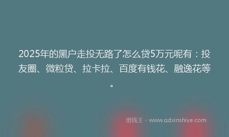 2025年的黑户走投无路了怎么贷5万元呢有：投友圈、微粒贷、拉卡拉、百度有钱花、融逸花等。