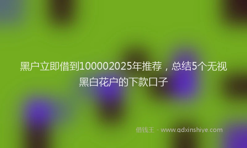 黑户立即借到100002025年推荐，总结5个无视黑白花户的下款口子