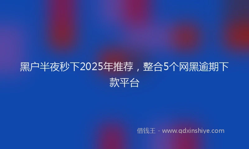 黑户半夜秒下2025年推荐，整合5个网黑逾期下款平台