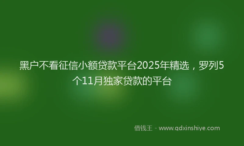 黑户不看征信小额贷款平台2025年精选，罗列5个11月独家贷款的平台