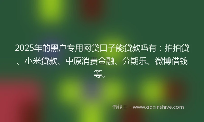 2025年的黑户专用网贷口子能贷款吗有：拍拍贷、小米贷款、中原消费金融、分期乐、微博借钱等。