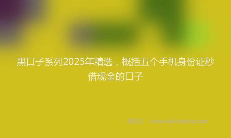 黑口子系列2025年精选，概括五个手机身份证秒借现金的口子