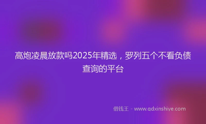 高炮凌晨放款吗2025年精选，罗列五个不看负债查询的平台