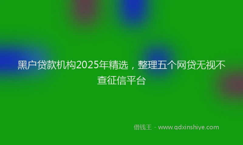 黑户贷款机构2025年精选，整理五个网贷无视不查征信平台