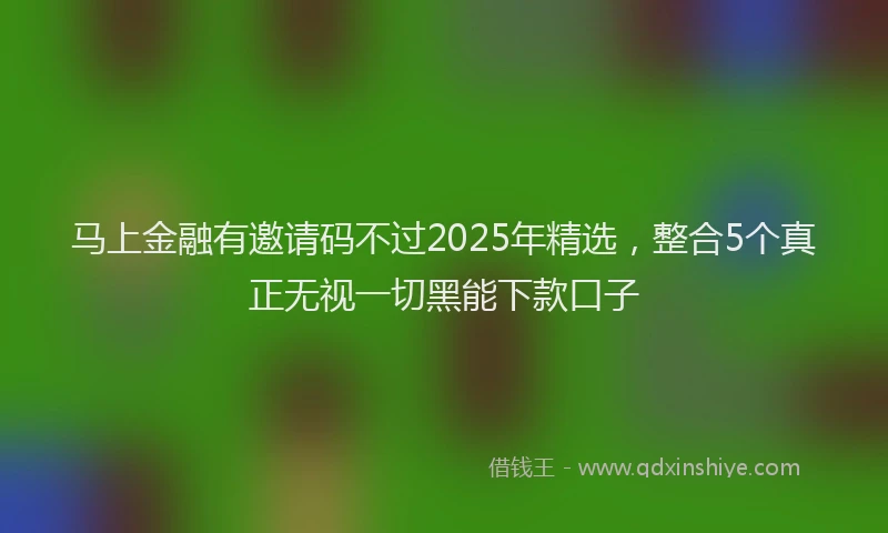 马上金融有邀请码不过2025年精选，整合5个真正无视一切黑能下款口子