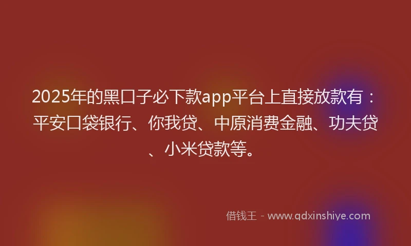 2025年的黑口子必下款app平台上直接放款有：平安口袋银行、你我贷、中原消费金融、功夫贷、小米贷款等。