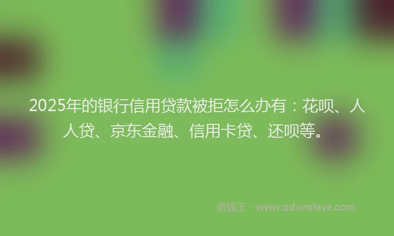 2025年的银行信用贷款被拒怎么办有：花呗、人人贷、京东金融、信用卡贷、还呗等。