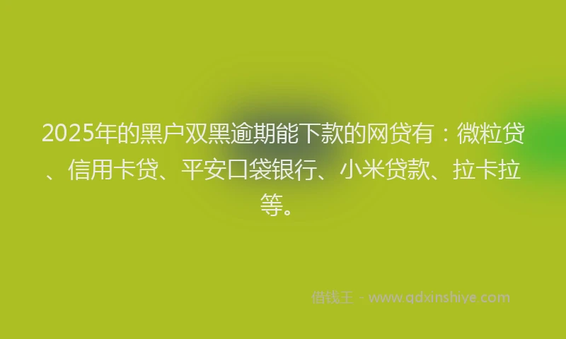 2025年的黑户双黑逾期能下款的网贷有：微粒贷、信用卡贷、平安口袋银行、小米贷款、拉卡拉等。