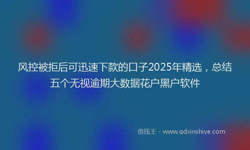 风控被拒后可迅速下款的口子2025年精选，总结五个无视逾期大数据花户黑户软件
