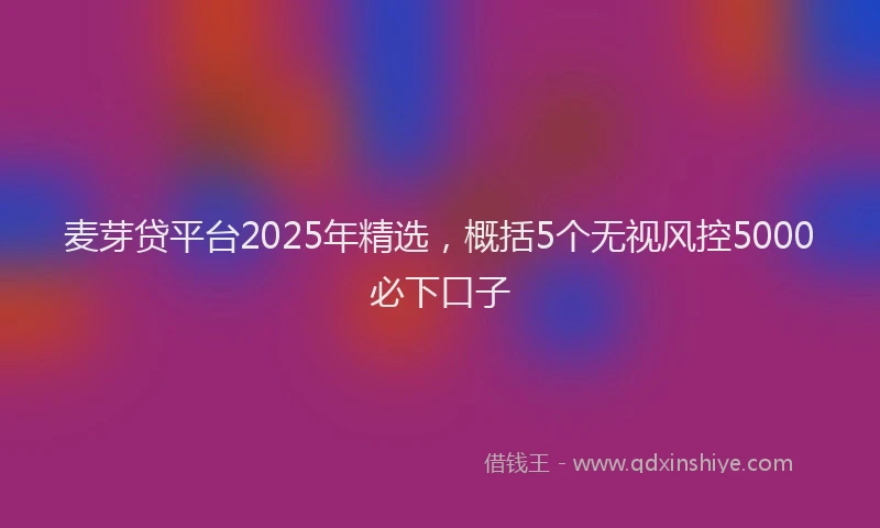麦芽贷平台2025年精选，概括5个无视风控5000必下口子