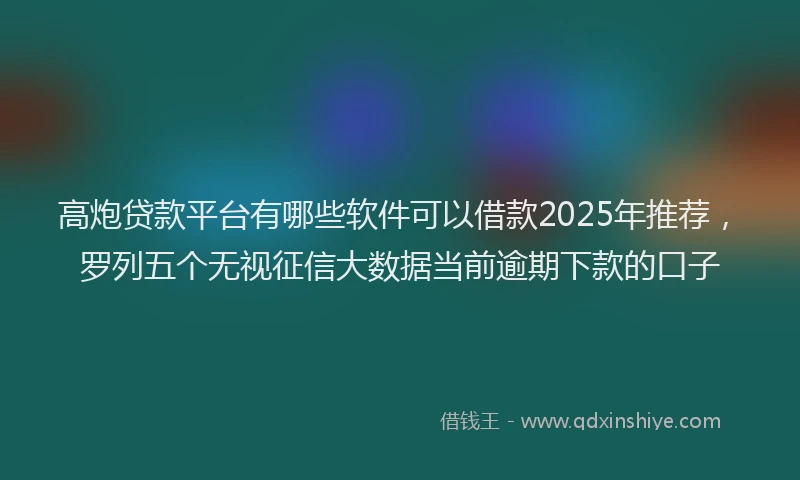 高炮贷款平台有哪些软件可以借款2025年推荐，罗列五个无视征信大数据当前逾期下款的口子