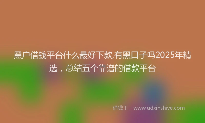 黑户借钱平台什么最好下款,有黑口子吗2025年精选，总结五个靠谱的借款平台