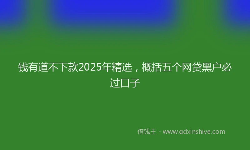 钱有道不下款2025年精选，概括五个网贷黑户必过口子