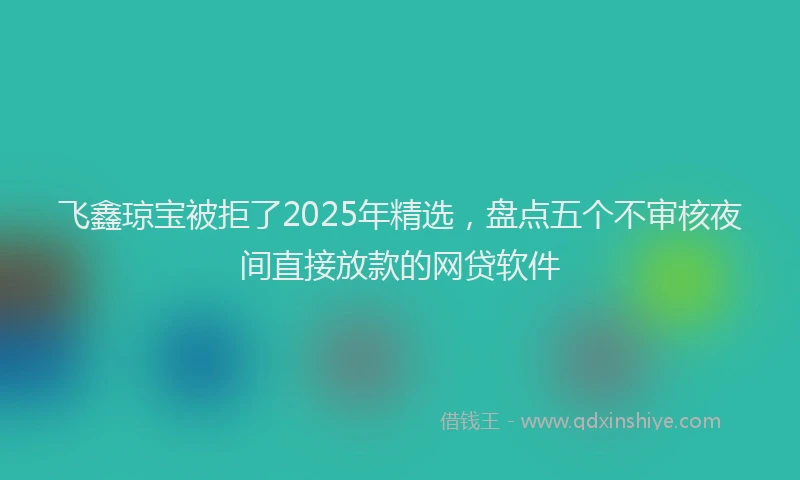 飞鑫琼宝被拒了2025年精选，盘点五个不审核夜间直接放款的网贷软件