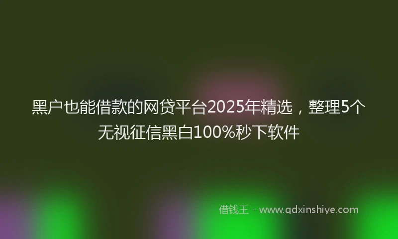 黑户也能借款的网贷平台2025年精选，整理5个无视征信黑白100%秒下软件