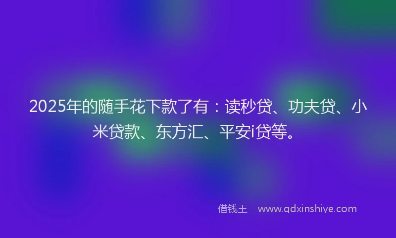 2025年的随手花下款了有：读秒贷、功夫贷、小米贷款、东方汇、平安i贷等。