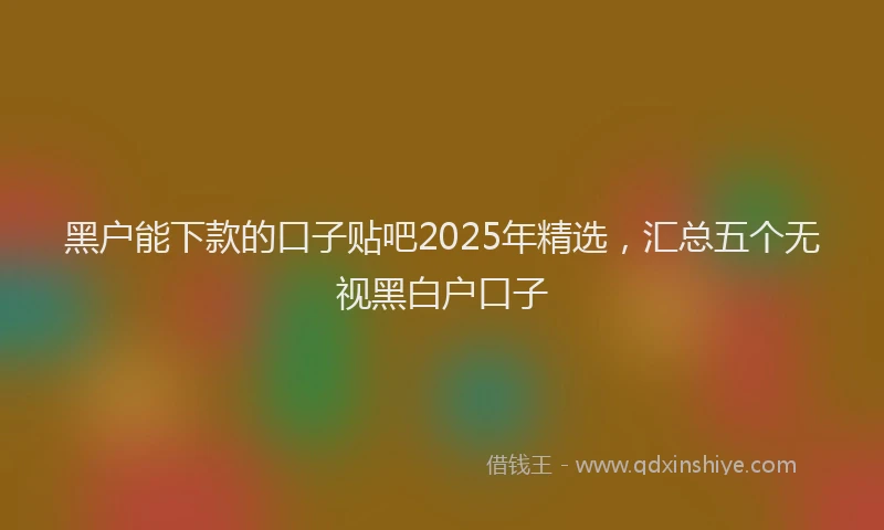 黑户能下款的口子贴吧2025年精选，汇总五个无视黑白户口子