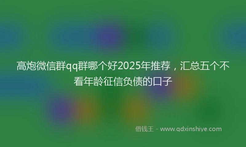 高炮微信群qq群哪个好2025年推荐，汇总五个不看年龄征信负债的口子