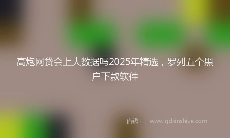 高炮网贷会上大数据吗2025年精选，罗列五个黑户下款软件