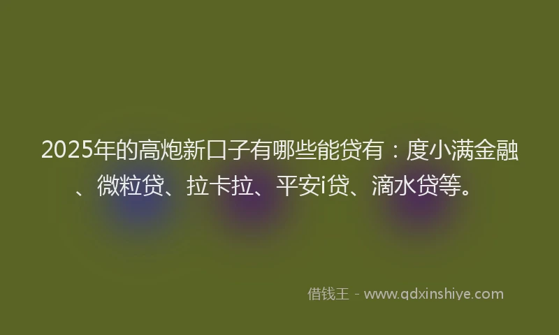 2025年的高炮新口子有哪些能贷有：度小满金融、微粒贷、拉卡拉、平安i贷、滴水贷等。