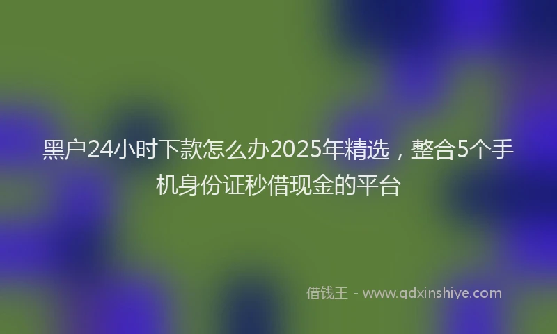 黑户24小时下款怎么办2025年精选，整合5个手机身份证秒借现金的平台