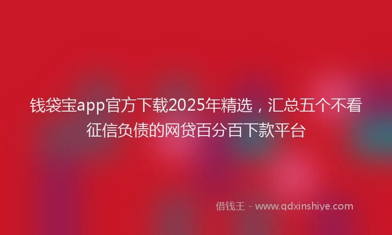 钱袋宝app官方下载2025年精选，汇总五个不看征信负债的网贷百分百下款平台