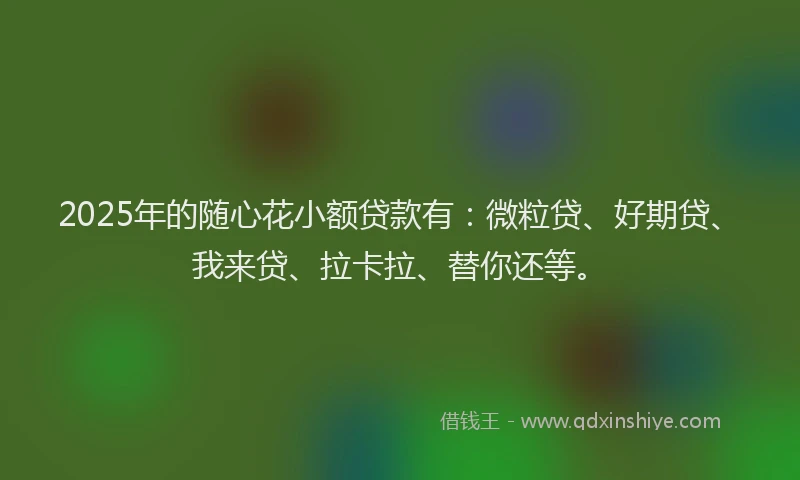 2025年的随心花小额贷款有：微粒贷、好期贷、我来贷、拉卡拉、替你还等。