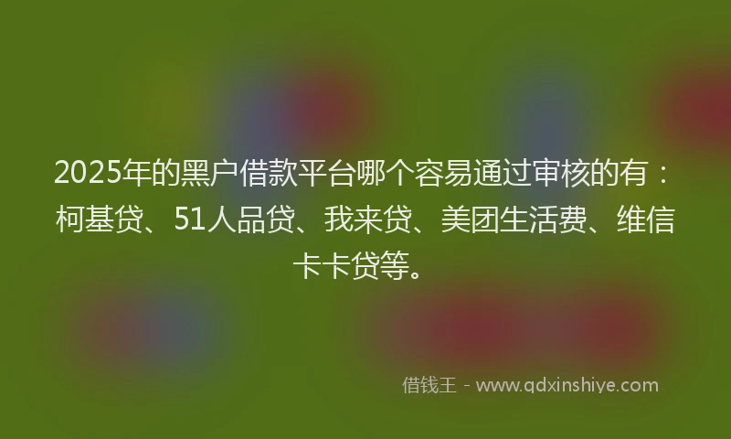 2025年的黑户借款平台哪个容易通过审核的有：柯基贷、51人品贷、我来贷、美团生活费、维信卡卡贷等。