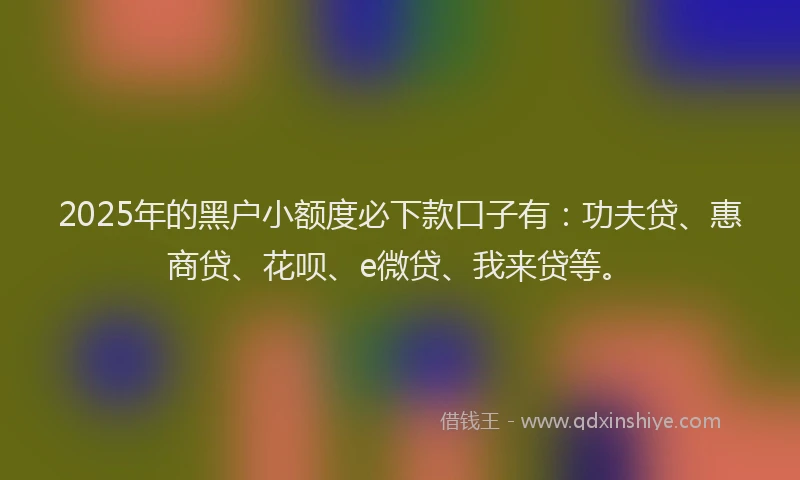 2025年的黑户小额度必下款口子有：功夫贷、惠商贷、花呗、e微贷、我来贷等。