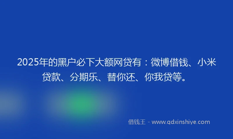 2025年的黑户必下大额网贷有：微博借钱、小米贷款、分期乐、替你还、你我贷等。