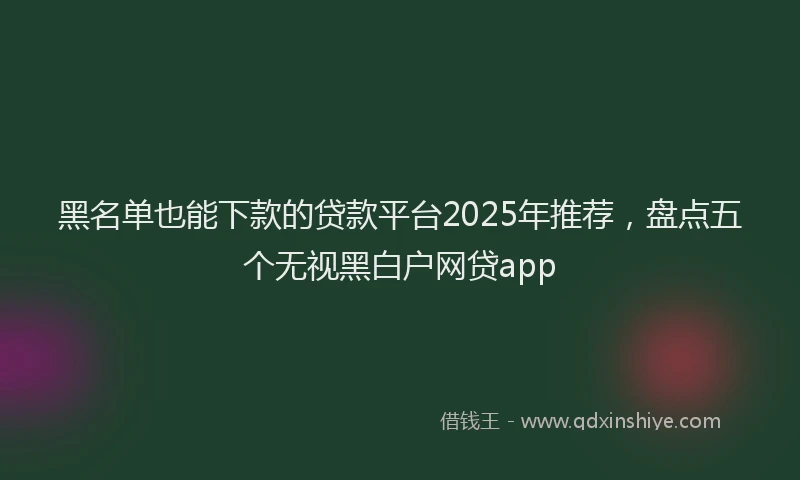 黑名单也能下款的贷款平台2025年推荐，盘点五个无视黑白户网贷app