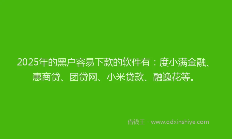 2025年的黑户容易下款的软件有：度小满金融、惠商贷、团贷网、小米贷款、融逸花等。