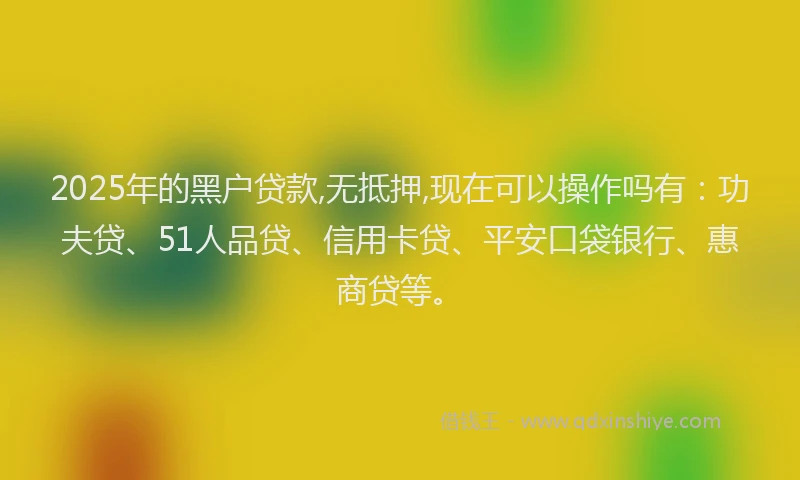 2025年的黑户贷款,无抵押,现在可以操作吗有：功夫贷、51人品贷、信用卡贷、平安口袋银行、惠商贷等。