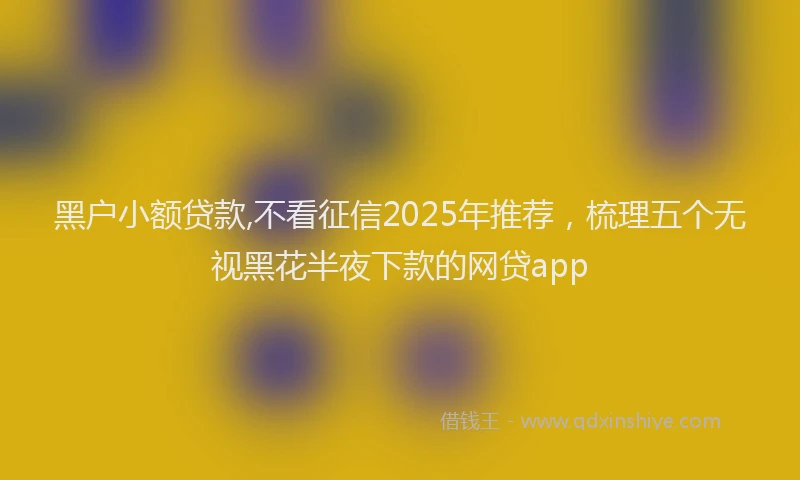 黑户小额贷款,不看征信2025年推荐，梳理五个无视黑花半夜下款的网贷app