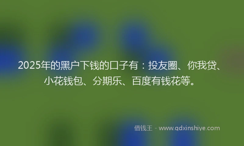 2025年的黑户下钱的口子有：投友圈、你我贷、小花钱包、分期乐、百度有钱花等。