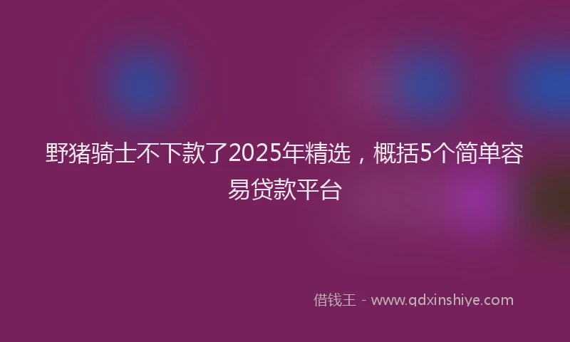 野猪骑士不下款了2025年精选，概括5个简单容易贷款平台