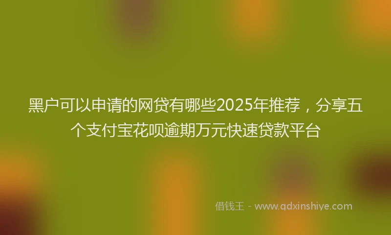 黑户可以申请的网贷有哪些2025年推荐，分享五个支付宝花呗逾期万元快速贷款平台