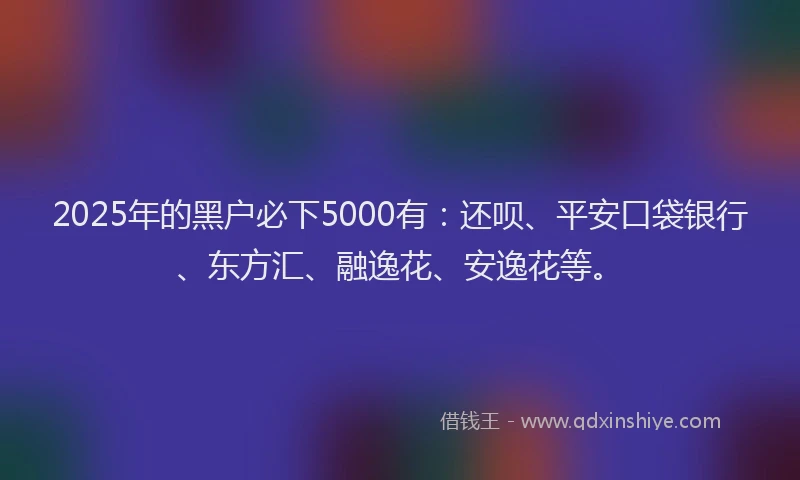 2025年的黑户必下5000有：还呗、平安口袋银行、东方汇、融逸花、安逸花等。