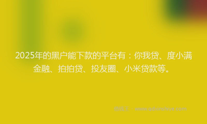 2025年的黑户能下款的平台有：你我贷、度小满金融、拍拍贷、投友圈、小米贷款等。