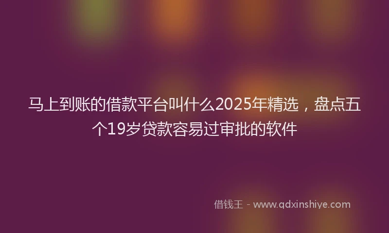 马上到账的借款平台叫什么2025年精选，盘点五个19岁贷款容易过审批的软件