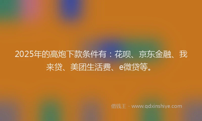 2025年的高炮下款条件有：花呗、京东金融、我来贷、美团生活费、e微贷等。