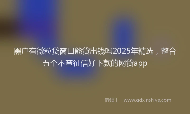 黑户有微粒贷窗口能贷出钱吗2025年精选，整合五个不查征信好下款的网贷app