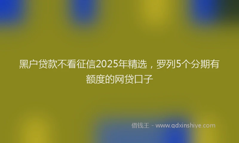 黑户贷款不看征信2025年精选，罗列5个分期有额度的网贷口子
