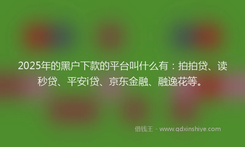 2025年的黑户下款的平台叫什么有：拍拍贷、读秒贷、平安i贷、京东金融、融逸花等。