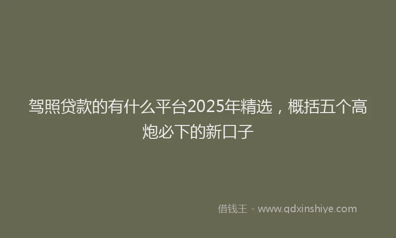 驾照贷款的有什么平台2025年精选，概括五个高炮必下的新口子