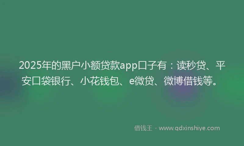 2025年的黑户小额贷款app口子有：读秒贷、平安口袋银行、小花钱包、e微贷、微博借钱等。