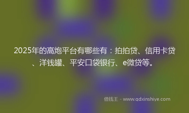 2025年的高炮平台有哪些有：拍拍贷、信用卡贷、洋钱罐、平安口袋银行、e微贷等。