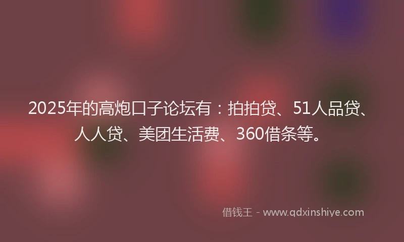 2025年的高炮口子论坛有：拍拍贷、51人品贷、人人贷、美团生活费、360借条等。