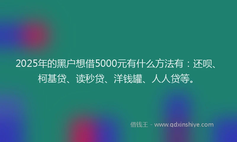 2025年的黑户想借5000元有什么方法有：还呗、柯基贷、读秒贷、洋钱罐、人人贷等。