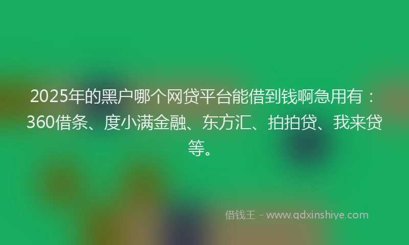 2025年的黑户哪个网贷平台能借到钱啊急用有：360借条、度小满金融、东方汇、拍拍贷、我来贷等。